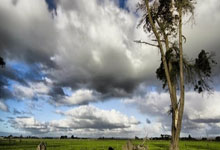 中国移动美图秀秀简单备份必中1-5元支付宝红包 亲测中5元